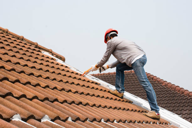 Best Emergency Roof Repair Services  in Delphos, OH