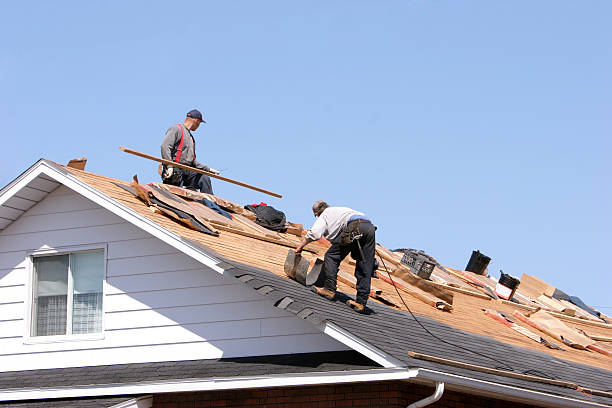 Best Roof Maintenance and Cleaning  in Delphos, OH