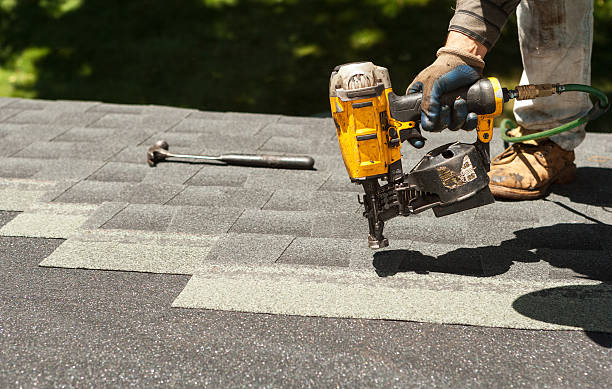 Best Roof Moss and Algae Removal  in Delphos, OH